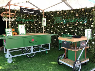 Creating an Elegant Vertical Green Wall for Tanqueray